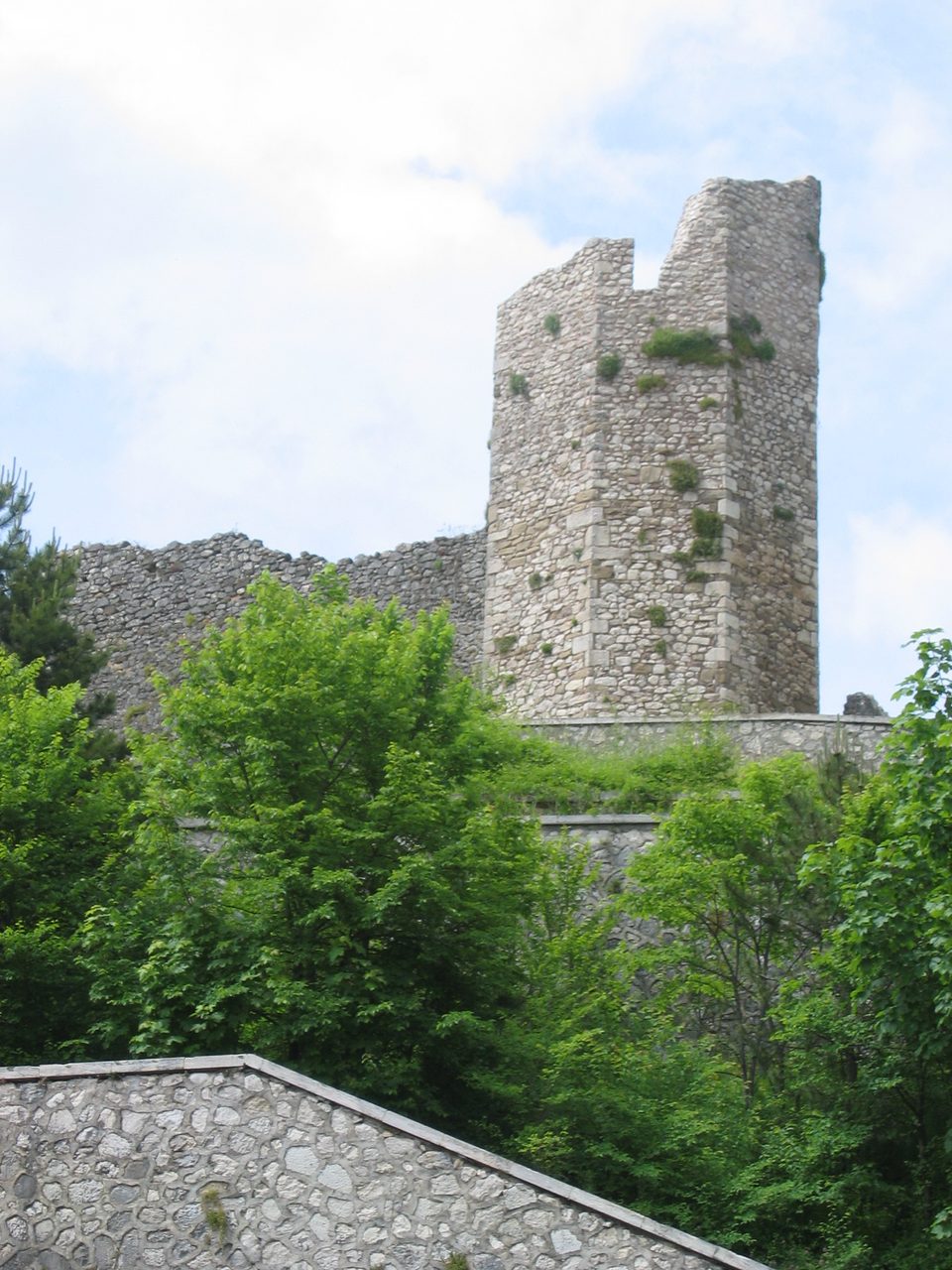 Stone ruins surrounded by vegetation in Alfedena in 2004